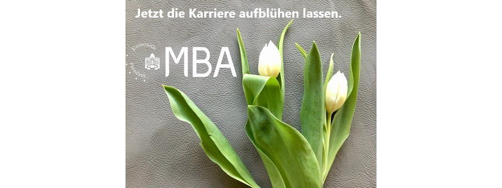 Online-Infoveranstaltung zum Master of Business Administration (MBA) an der Universität Potsdam (Webinar | Online)