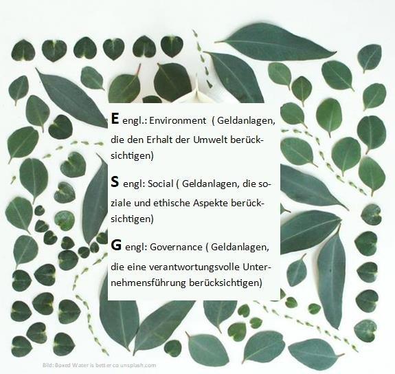 Nachhaltige Geldanlagen – grün, sozial und ethisch korrekt – Nachmittagswebinar (Webinar | Online)