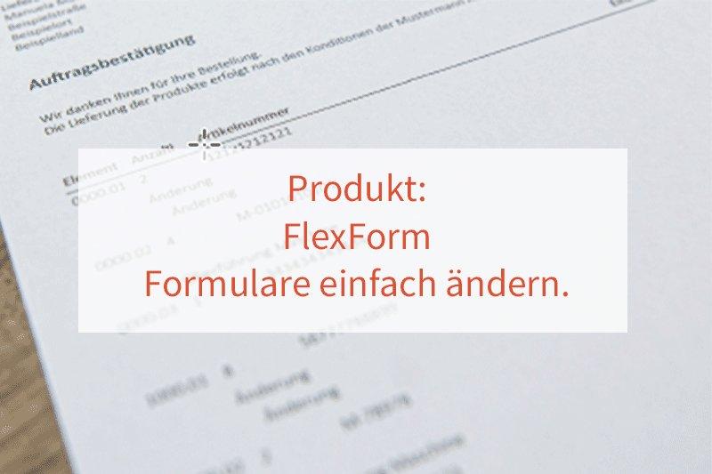 Webseminar FlexForm – Tool zur einfachen Umgestaltung von SAP-Formularen (Webinar | Online)