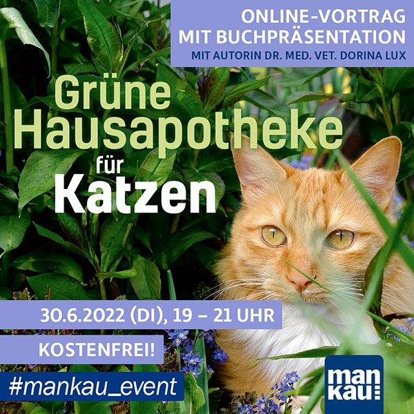 Vortrag und Buchpräsentation: Grüne Hausapotheke für Katzen. Heimische Heilpflanzen sicher anwenden (Vortrag | Online)