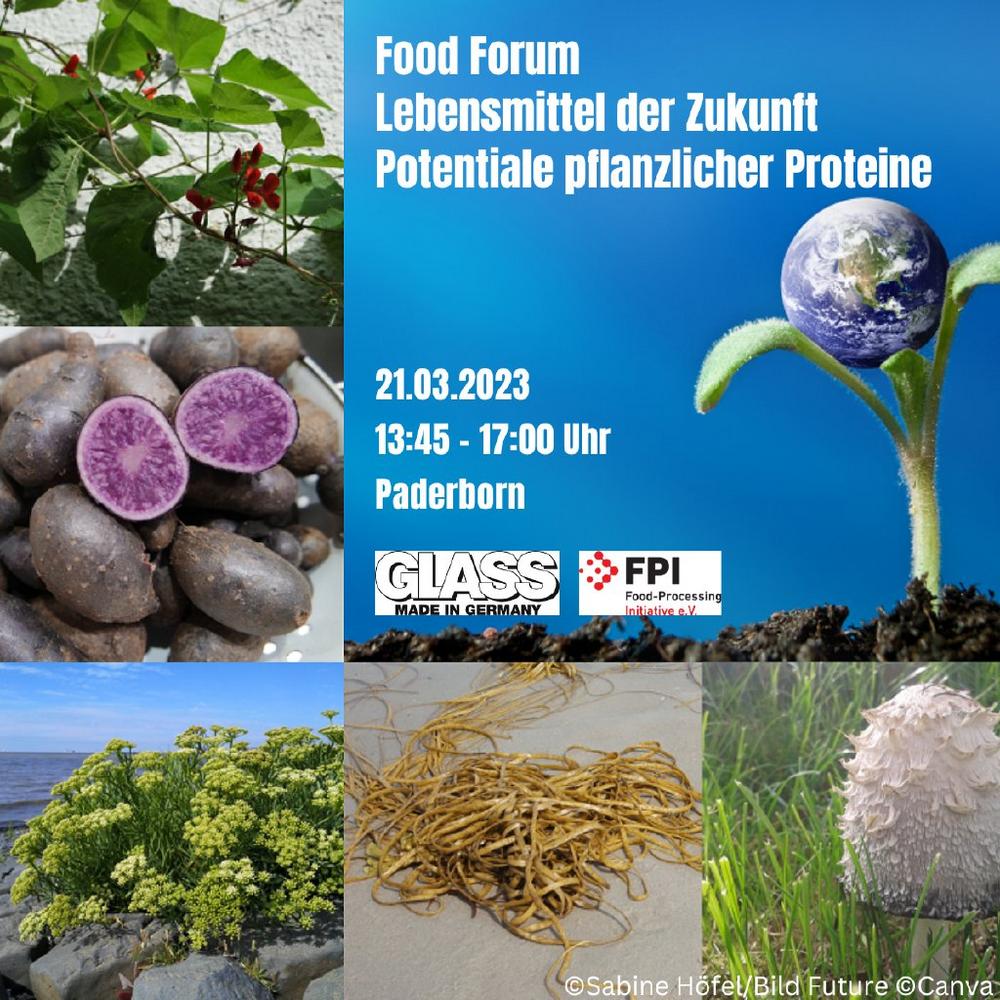 Food Forum Lebensmittel der Zukunft – Potentiale pflanzlicher Proteine (Seminar | Paderborn)