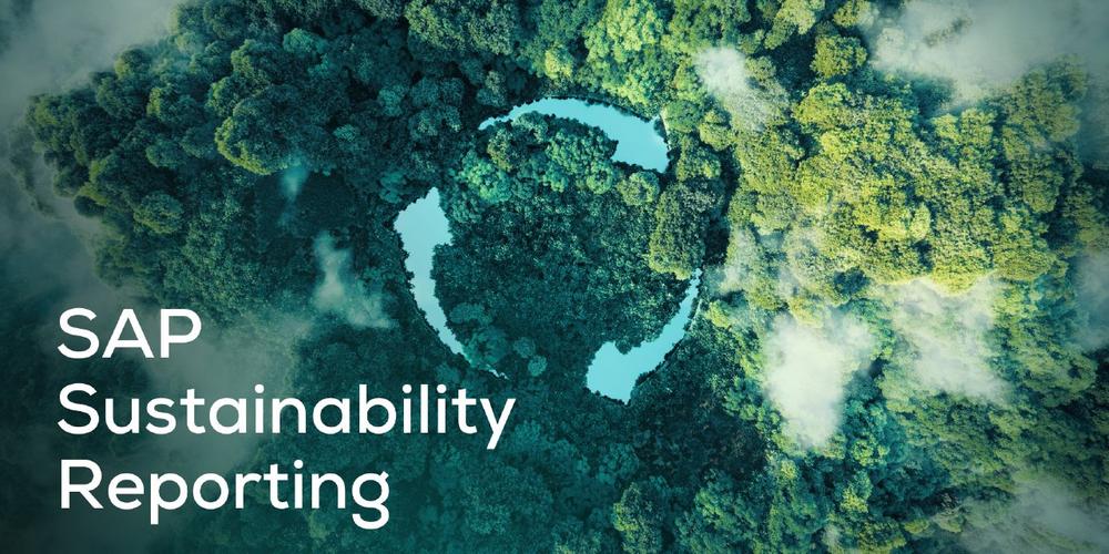 SAP Sustainability Reporting (Webinar | Online)