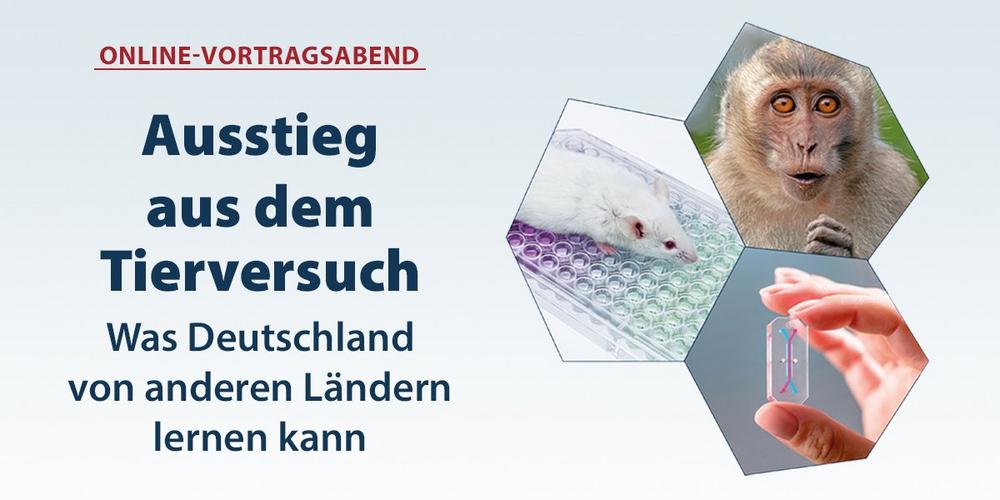Online-Vortrag: Ausstieg aus dem Tierversuch – was Deutschland von anderen Ländern lernen kann (Vortrag | Online)