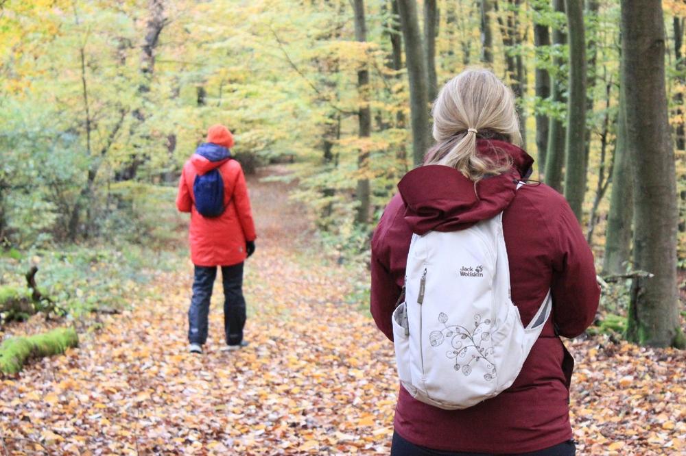 Natur-Coach-Ausbildung 1 (Frühjahr) (Seminar | Stadtprozelten)