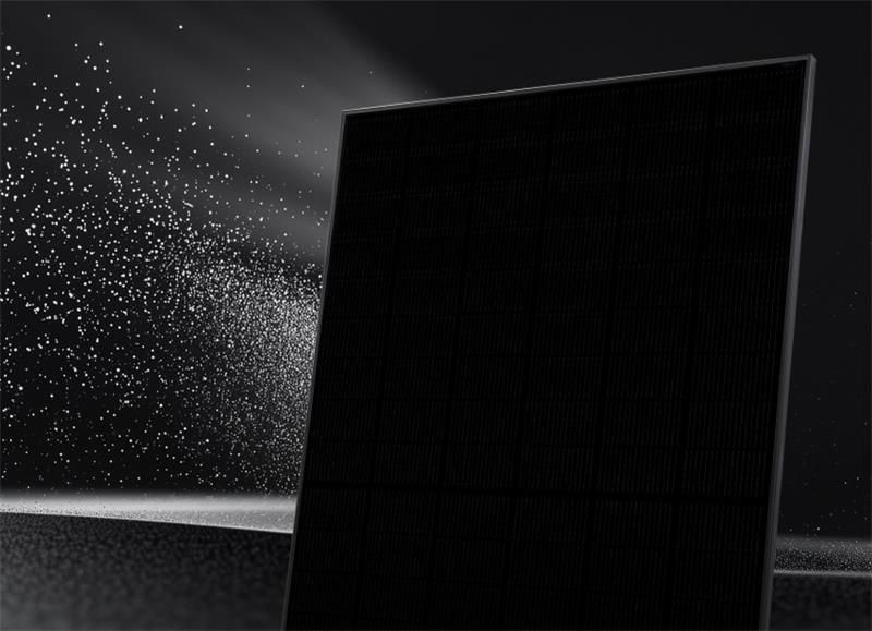 Webinar Intersolar 2025 (Webinar | Online)
