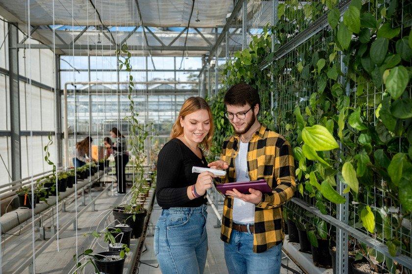 Infoveranstaltung zum berufsbegleitenden Studiengang Pflanzentechnologie in der Agrarwirtschaft (Schulung | Online)