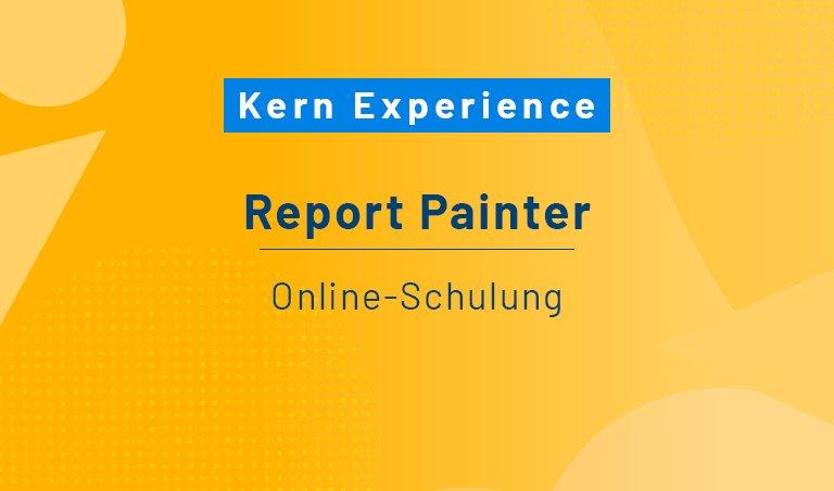 Report Painter – Schulung (Schulung | Online)
