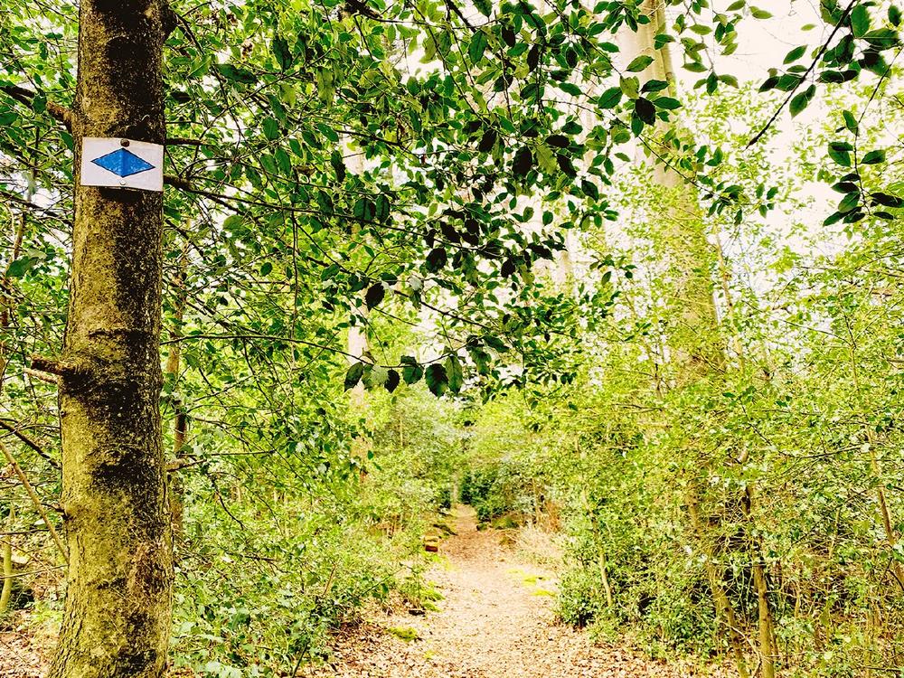 „Historische Runde“ rund um Dobel (Unterhaltung / Freizeit | Dobel)