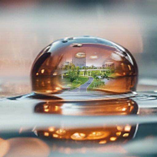 ACO Regenwelten – Schwammstadt: Stadtgrün stärken, Wasser intelligent managen (Webinar | Online)